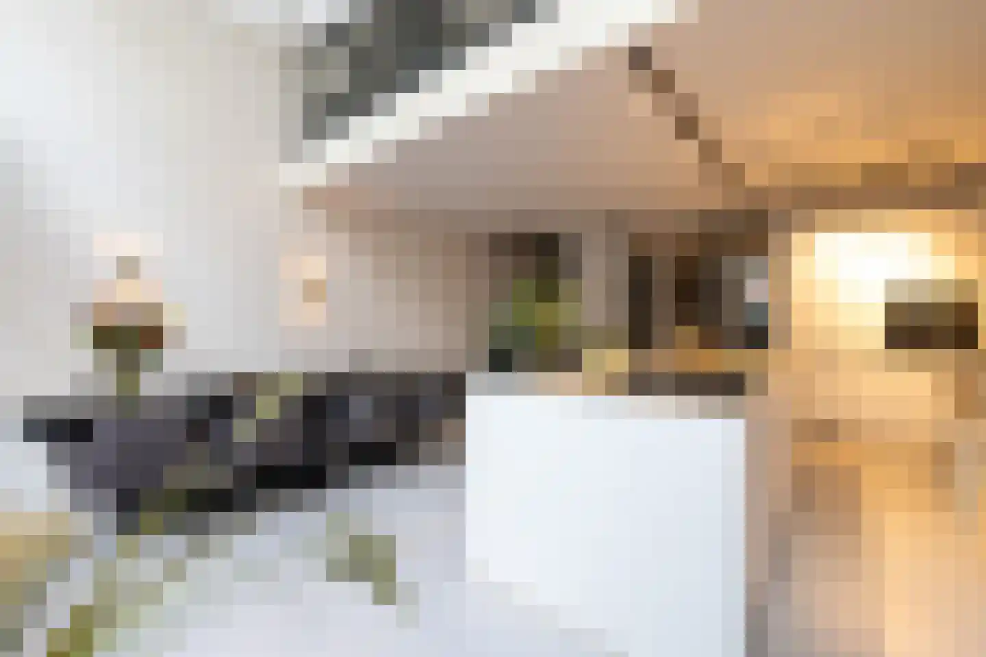 Proveniersstraat 15 Rotterdam thumbnail 14
