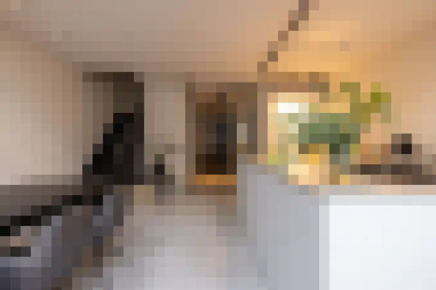 Proveniersstraat 15 Rotterdam thumbnail 15