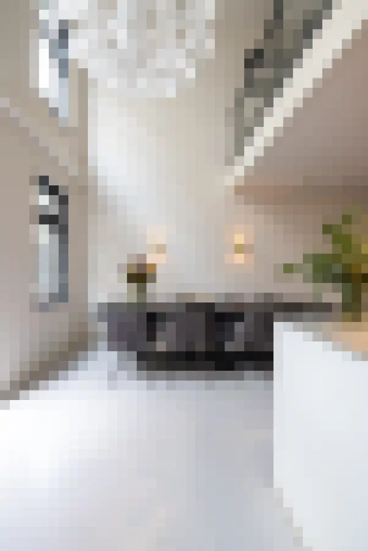 Proveniersstraat 15 Rotterdam thumbnail 16
