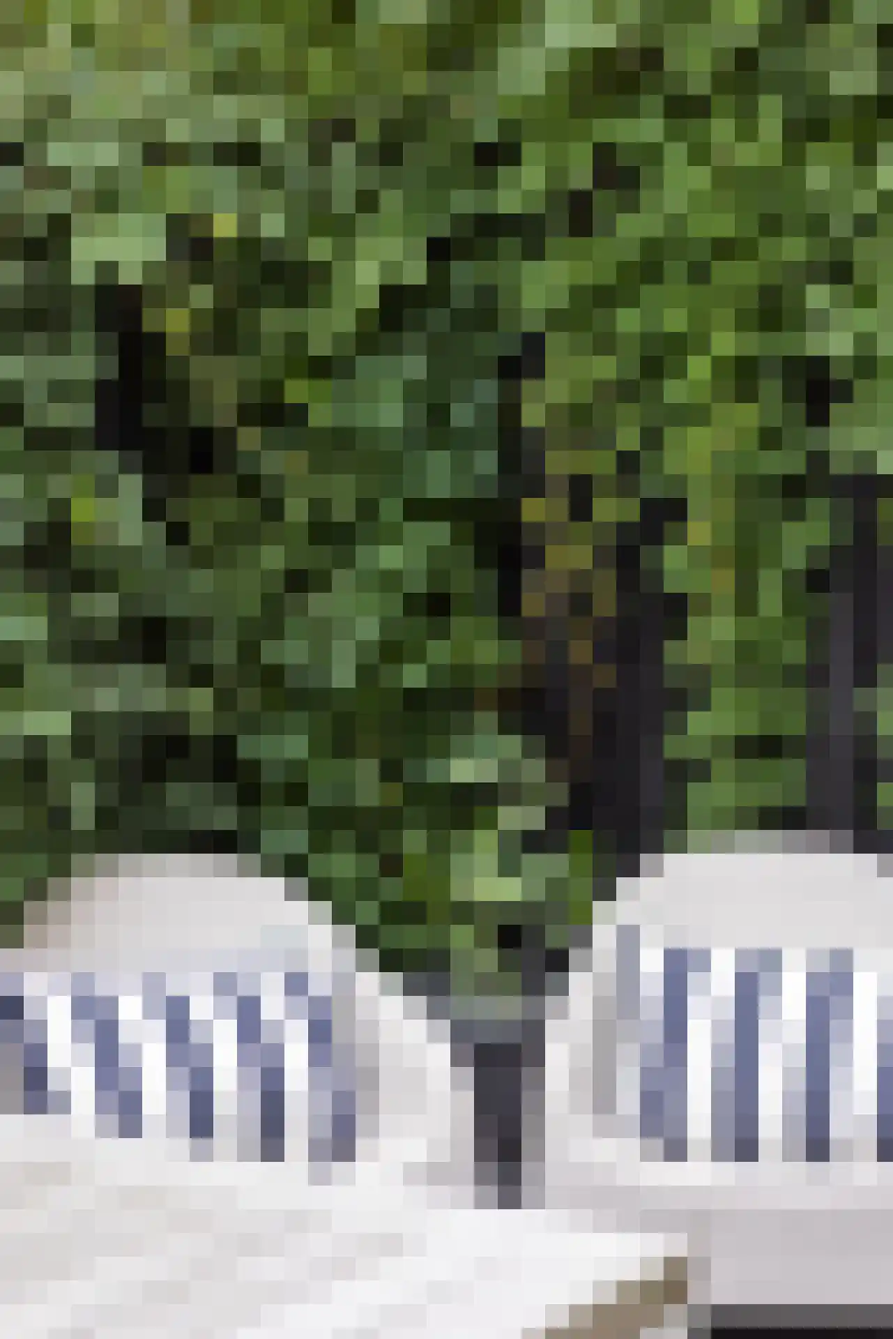 Proveniersstraat 15 Rotterdam thumbnail 18