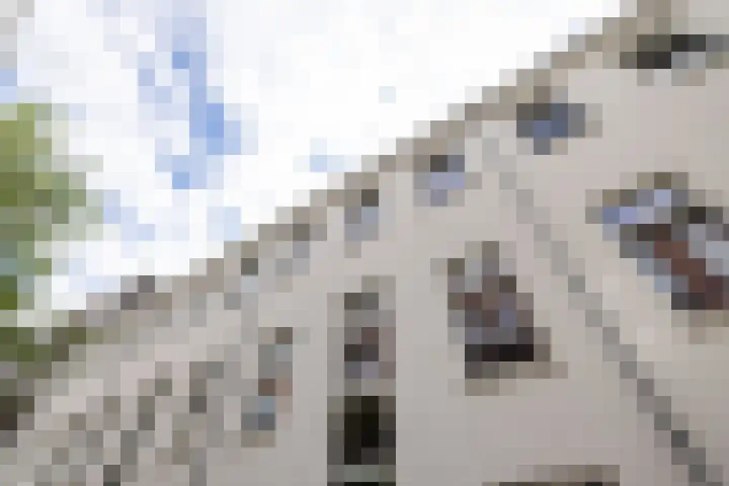 Proveniersstraat 15 Rotterdam thumbnail 21