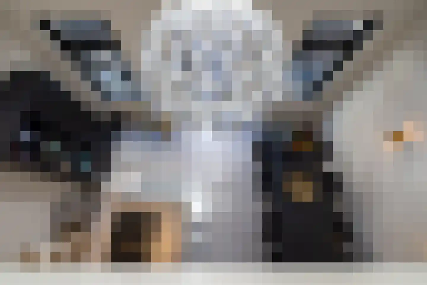 Proveniersstraat 15 Rotterdam thumbnail 4