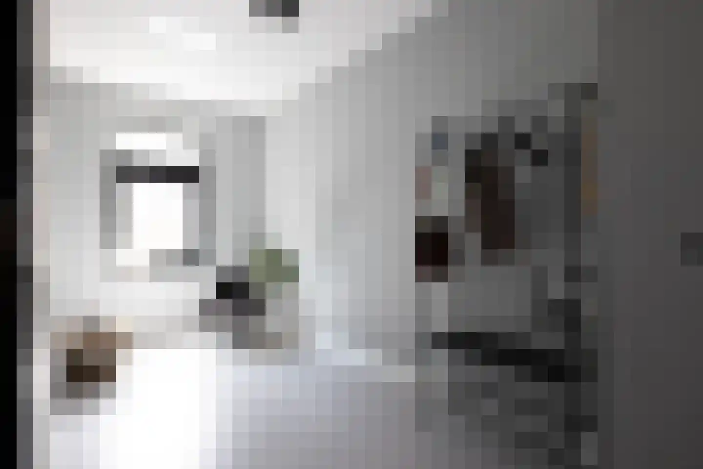 Proveniersstraat 15 Rotterdam thumbnail 53