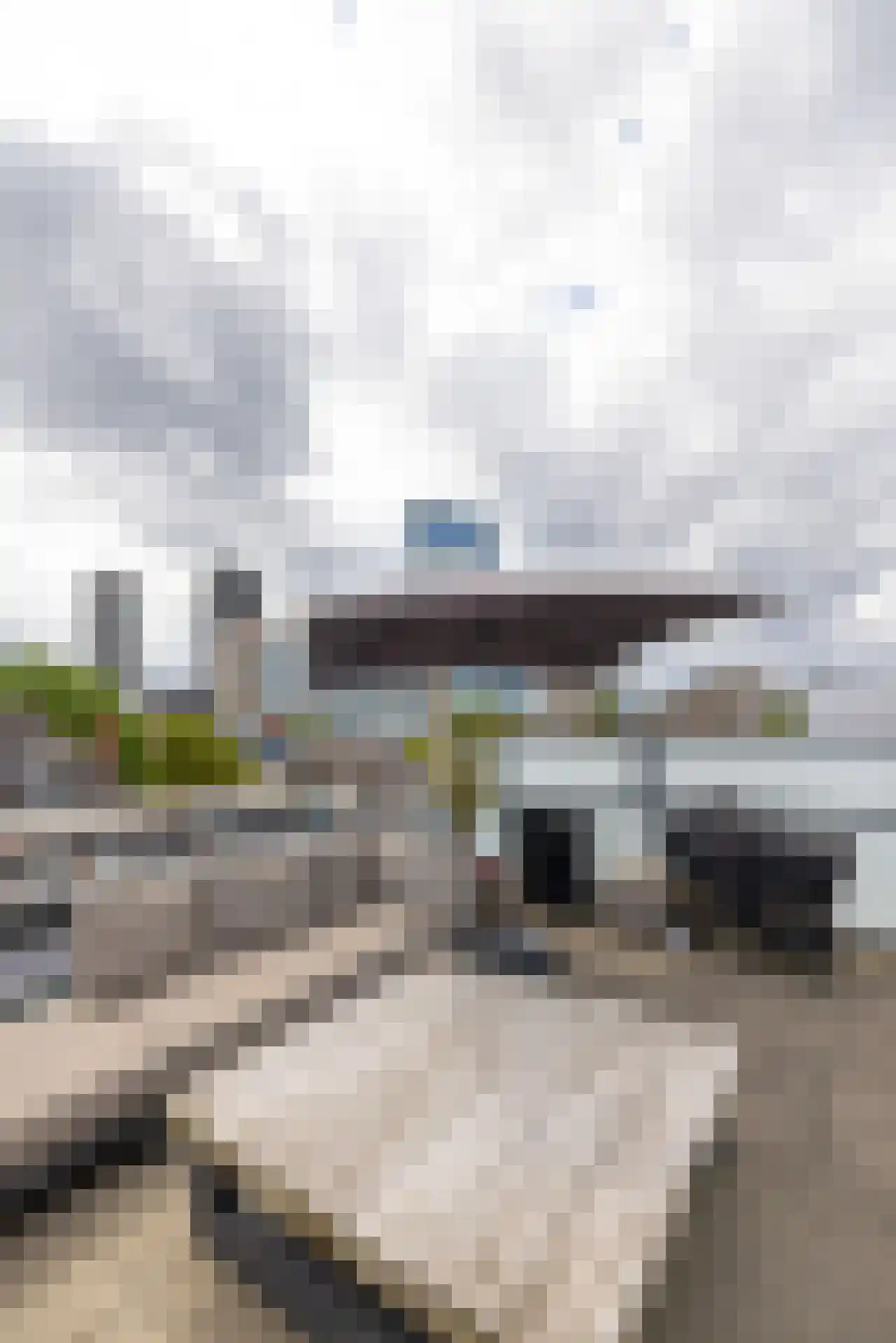 Proveniersstraat 15 Rotterdam thumbnail 64