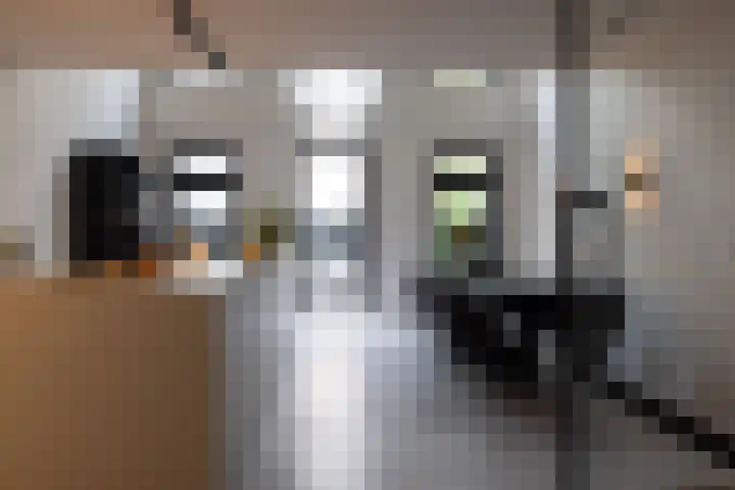 Proveniersstraat 15 Rotterdam thumbnail 7