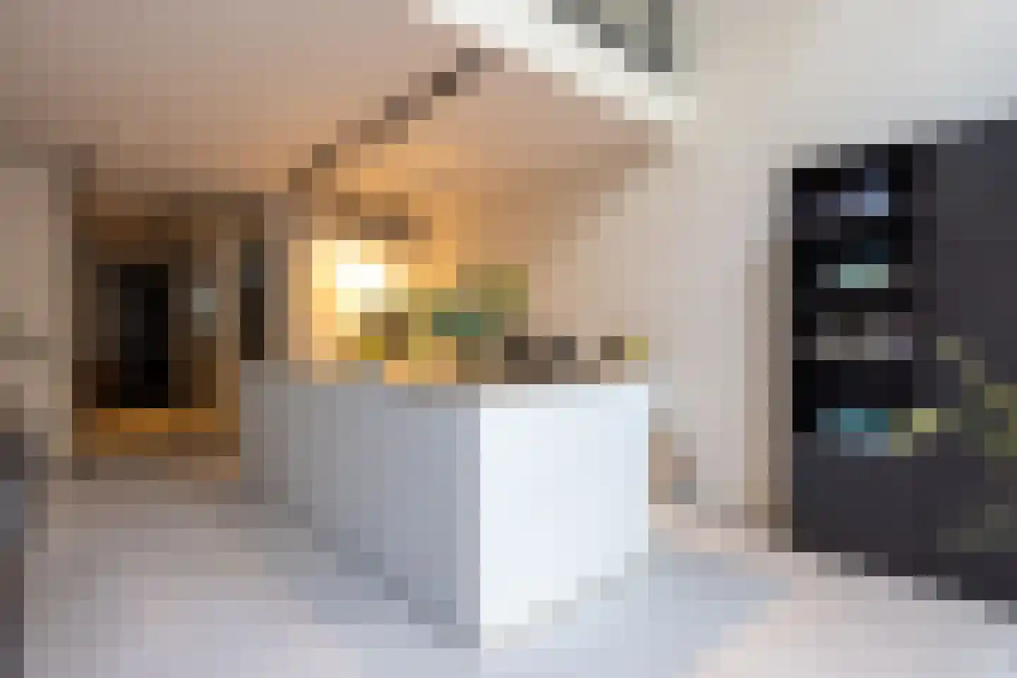 Proveniersstraat 15 Rotterdam thumbnail 8