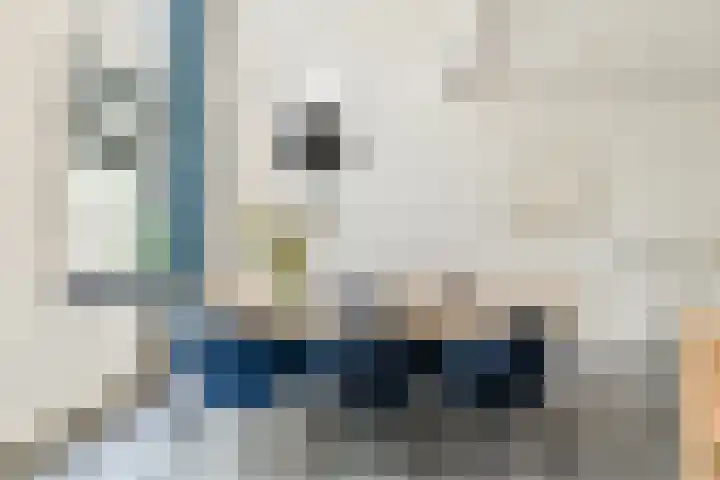 Proveniersstraat 17 Rotterdam thumbnail 10