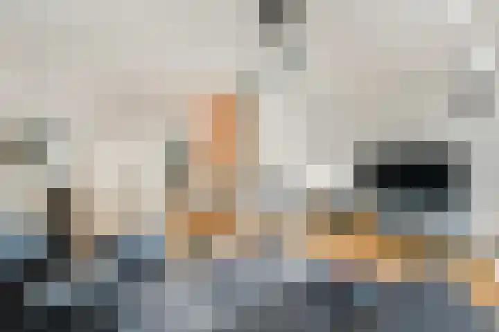 Proveniersstraat 17 Rotterdam thumbnail 15