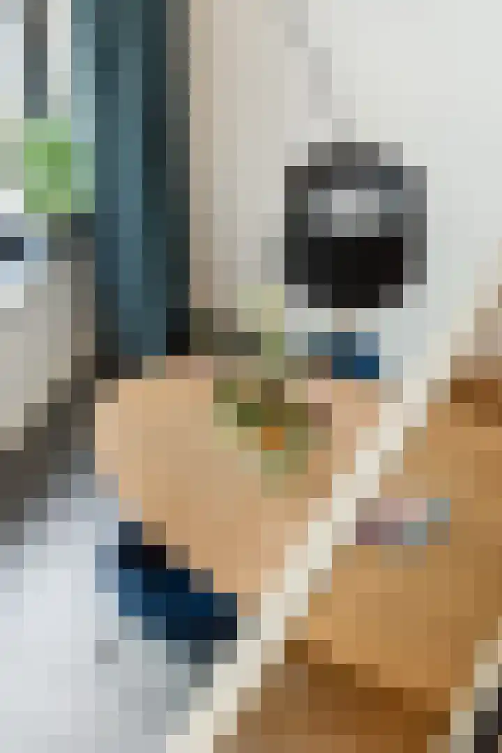 Proveniersstraat 17 Rotterdam thumbnail 17