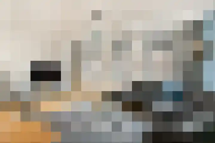 Proveniersstraat 17 Rotterdam thumbnail 20