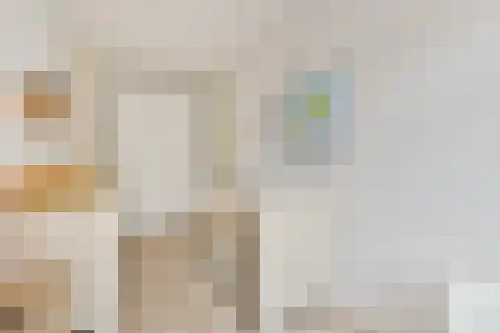 Proveniersstraat 17 Rotterdam thumbnail 32