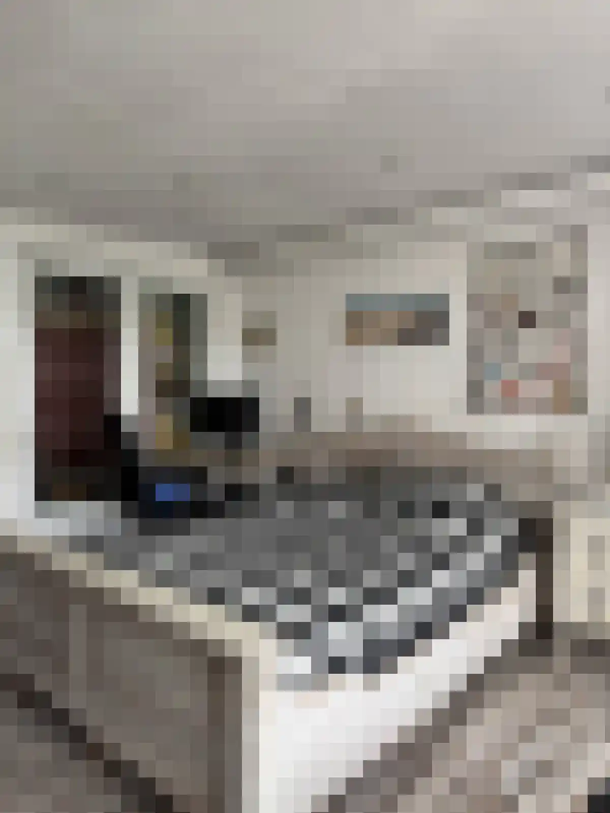 Proveniersstraat 19 B2 Rotterdam thumbnail 4