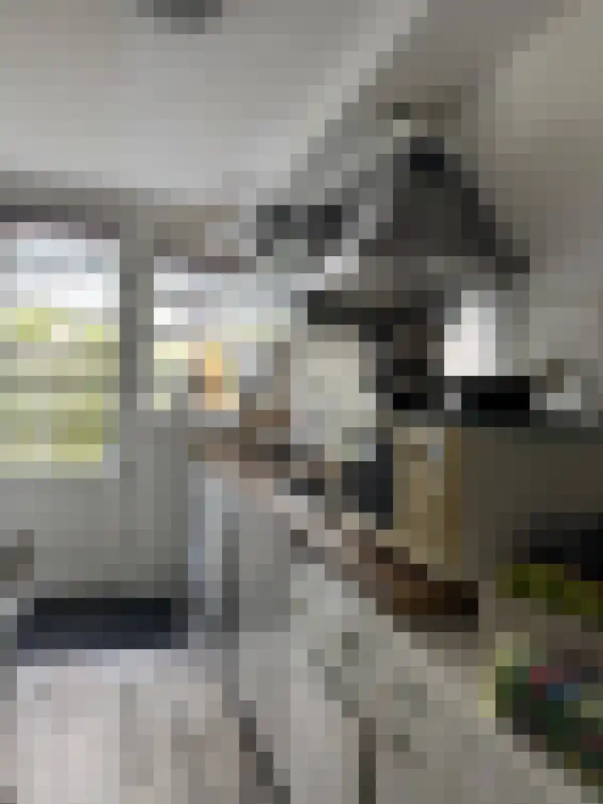 Proveniersstraat 19 B2 Rotterdam thumbnail 6