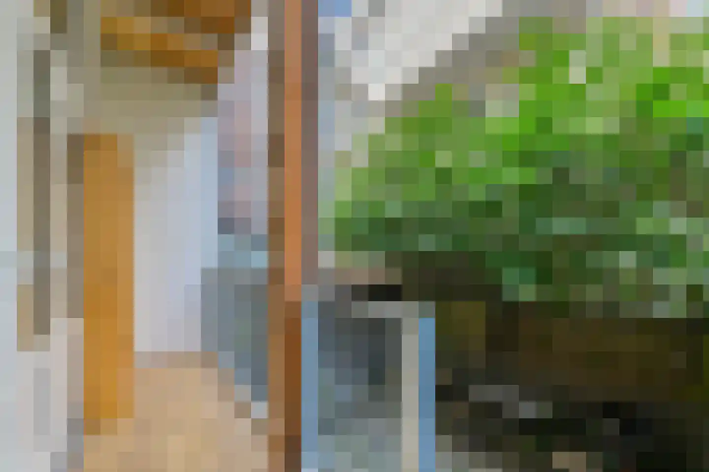 Proveniersstraat 25 B Rotterdam thumbnail 14