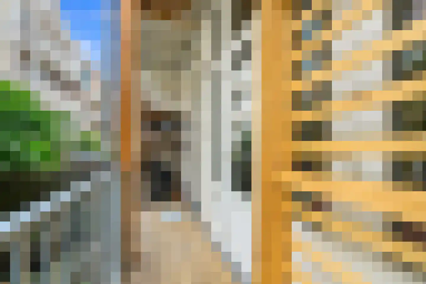 Proveniersstraat 25 B Rotterdam thumbnail 15