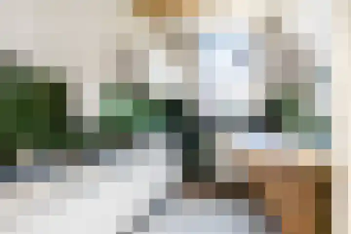 Proveniersstraat 46 B Rotterdam thumbnail 5