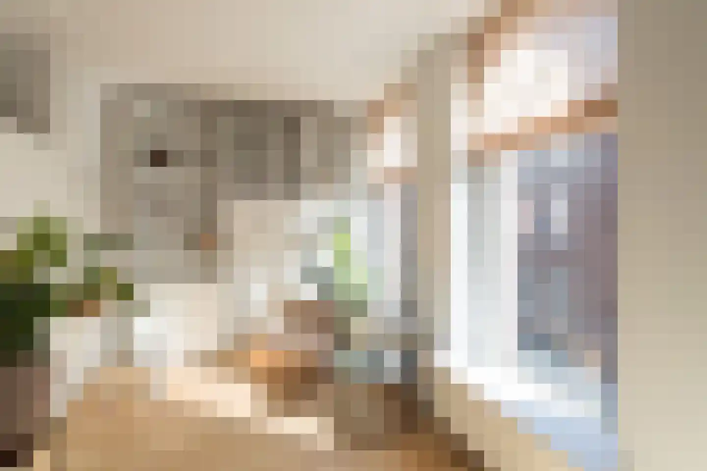 Proveniersstraat 5 B Rotterdam thumbnail 26