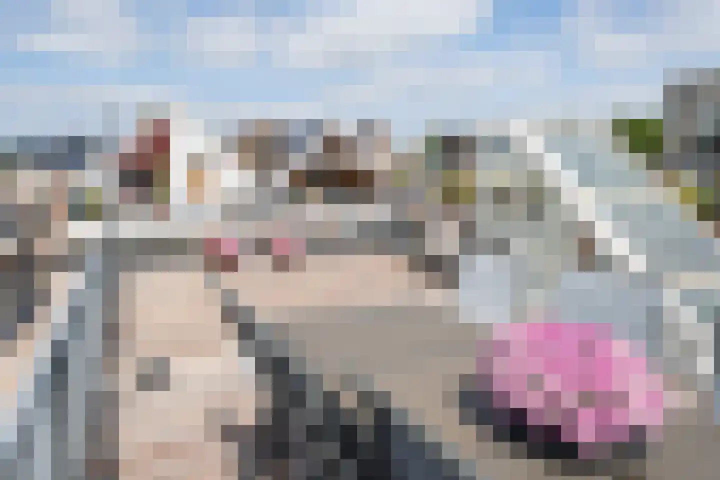 Proveniersstraat 5 B Rotterdam thumbnail 4