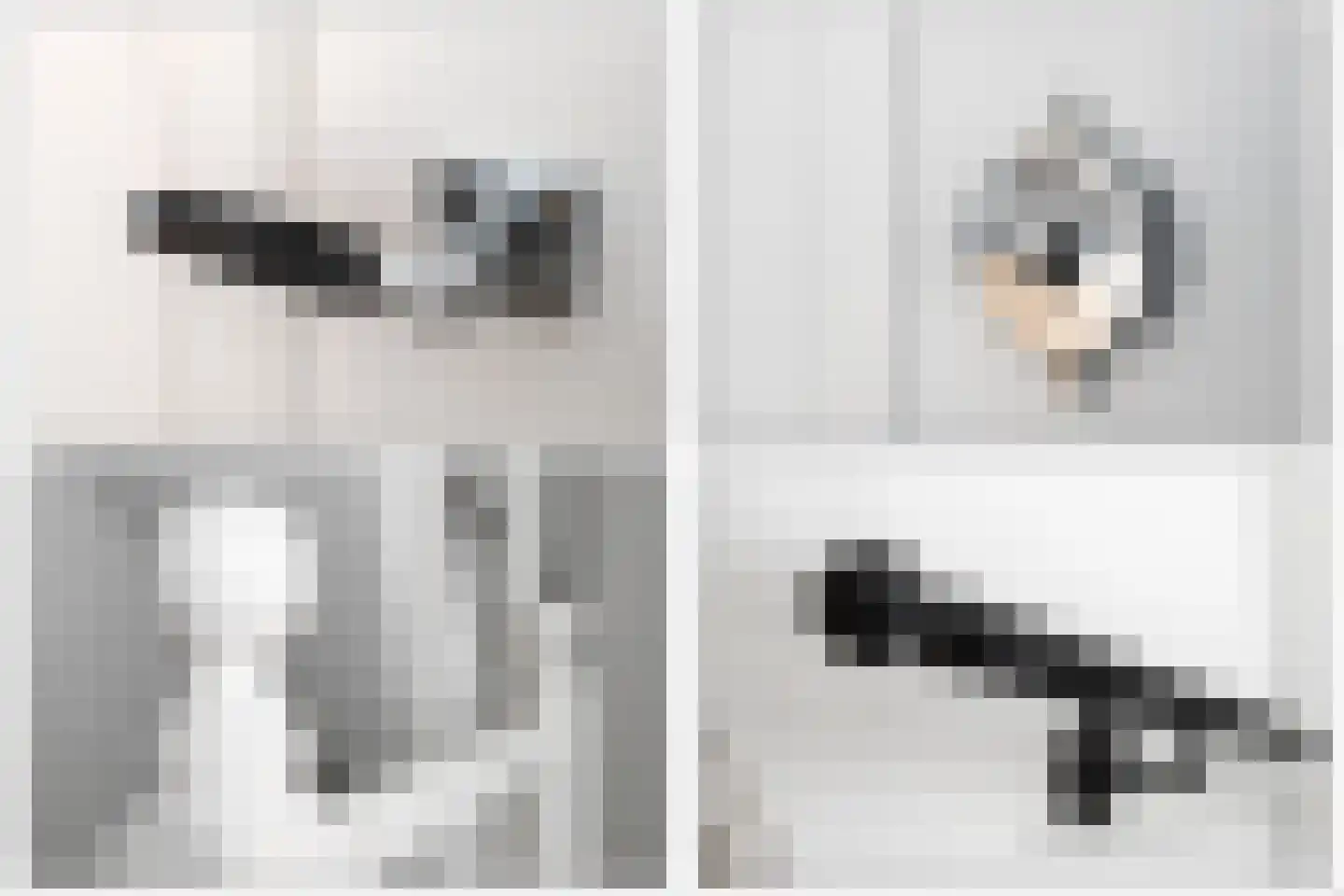 Proveniersstraat 5 B Rotterdam thumbnail 46