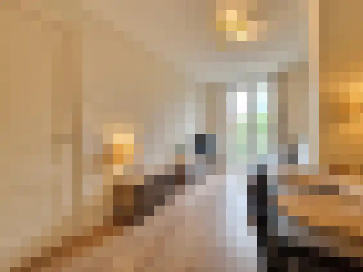 Proveniersstraat 72 Rotterdam thumbnail 5