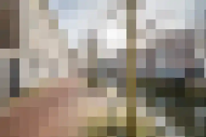 Provenierstraat 3 Schoonhoven thumbnail 25