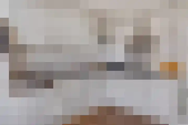 Proveniersveld 11 Breda thumbnail 13