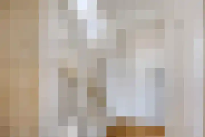 Proveniersveld 11 Breda thumbnail 24