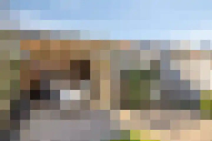 Proveniersveld 11 Breda thumbnail 30