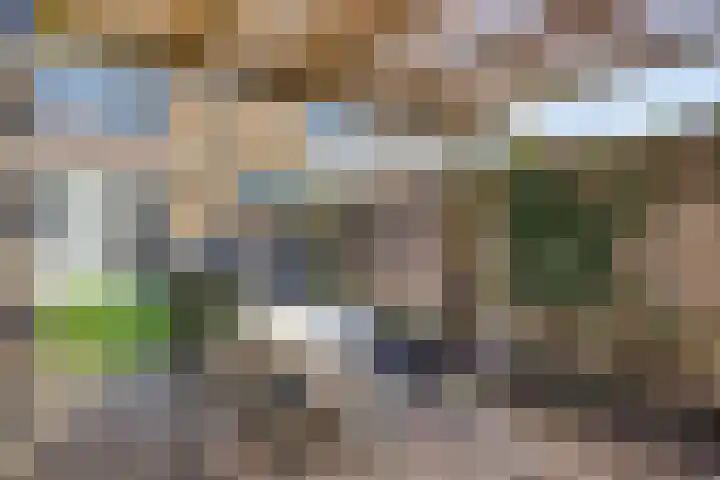 Proveniersveld 11 Breda thumbnail 4