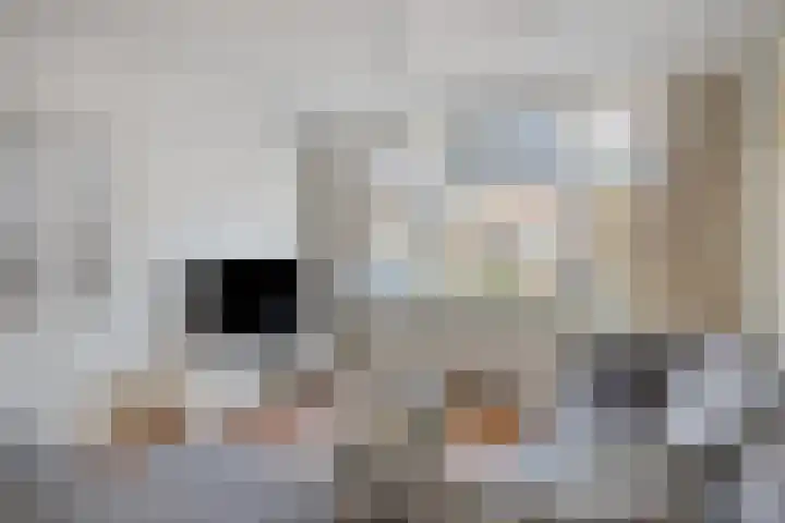 Proveniersveld 11 Breda thumbnail 8