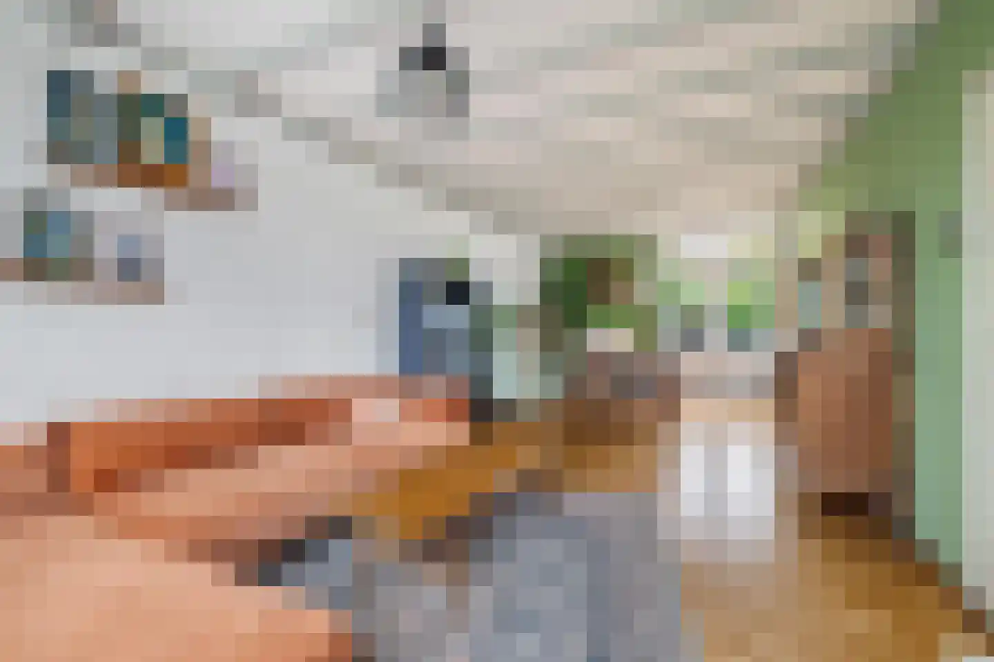 Proveniersveld 3 Breda thumbnail 13