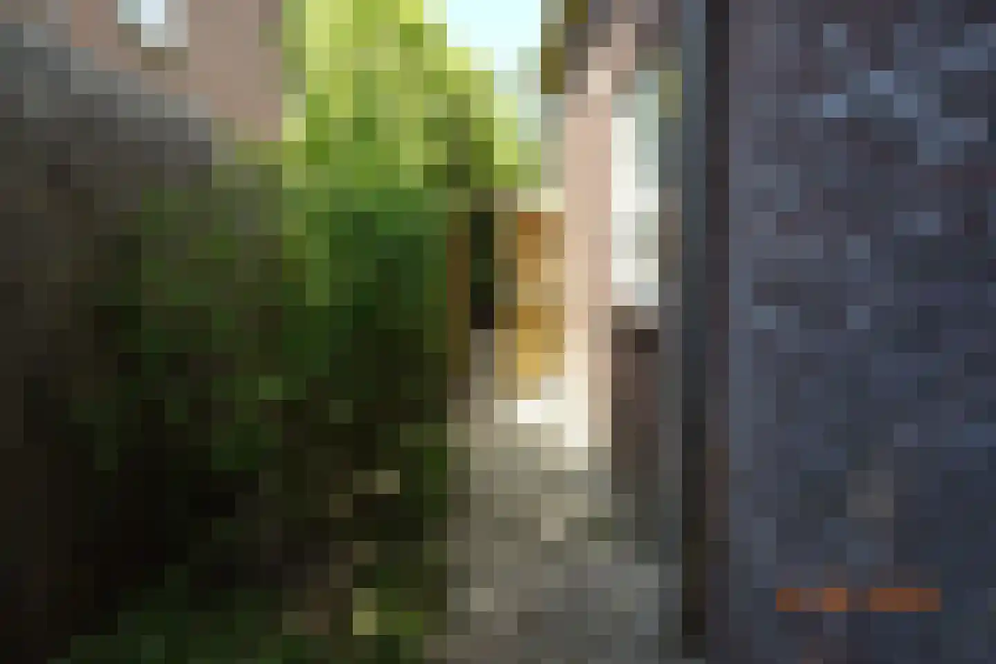 Provincialeweg 1 f Bunnik thumbnail 34