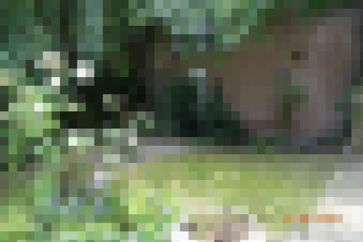 Provincialeweg 1 f Bunnik thumbnail 37
