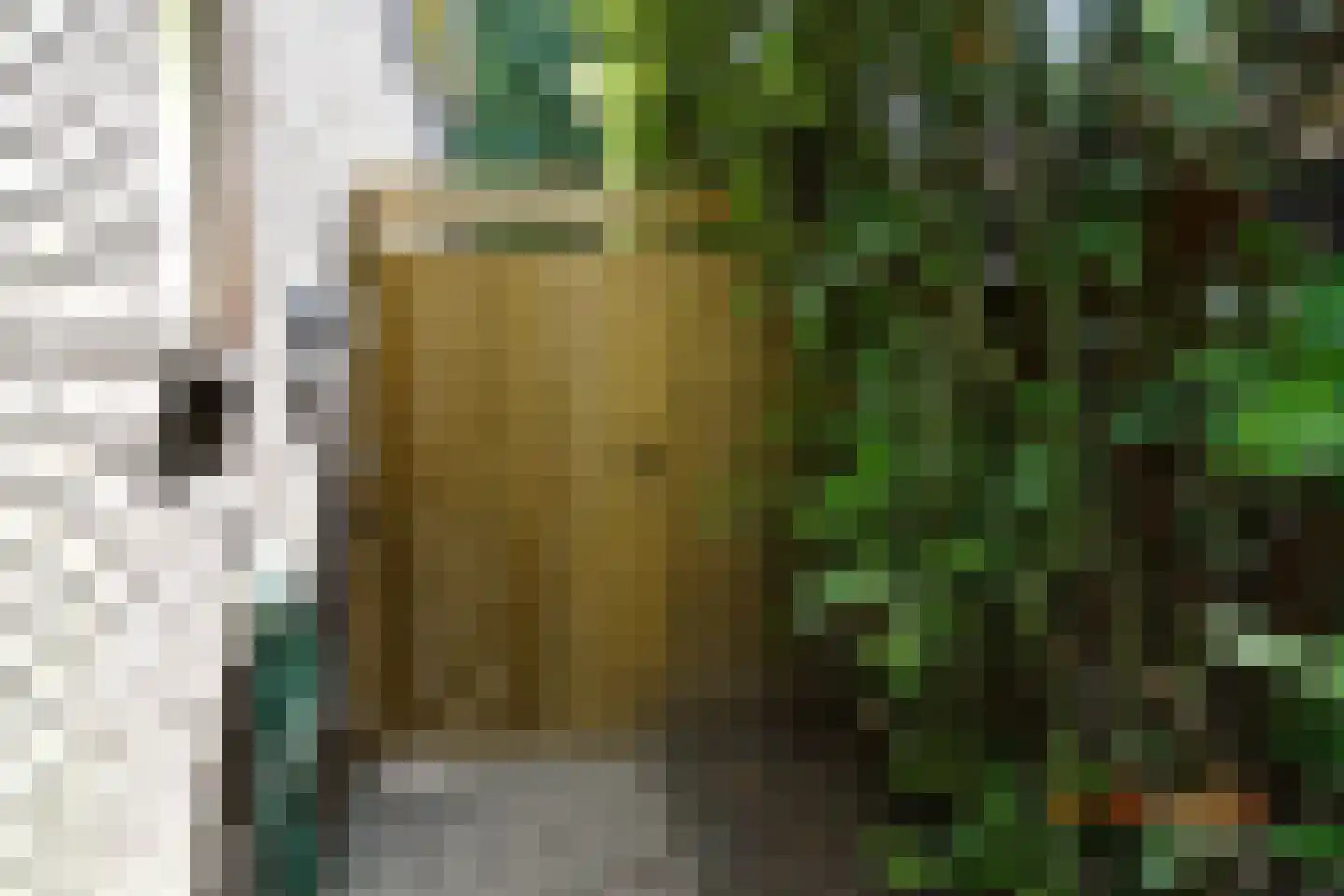 Provincialeweg 1 f Bunnik thumbnail 4