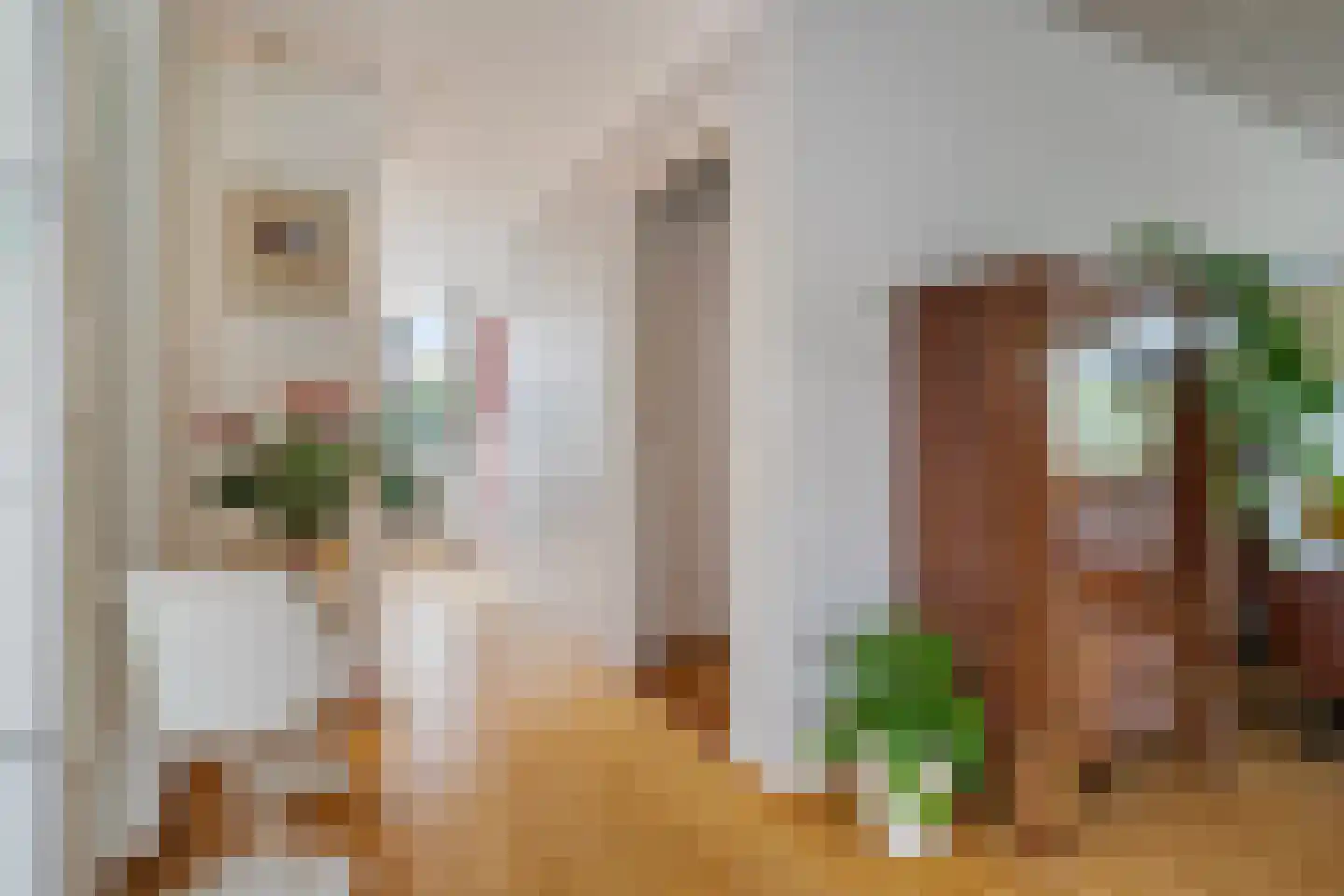Provincialeweg 1 Kortgene thumbnail 13