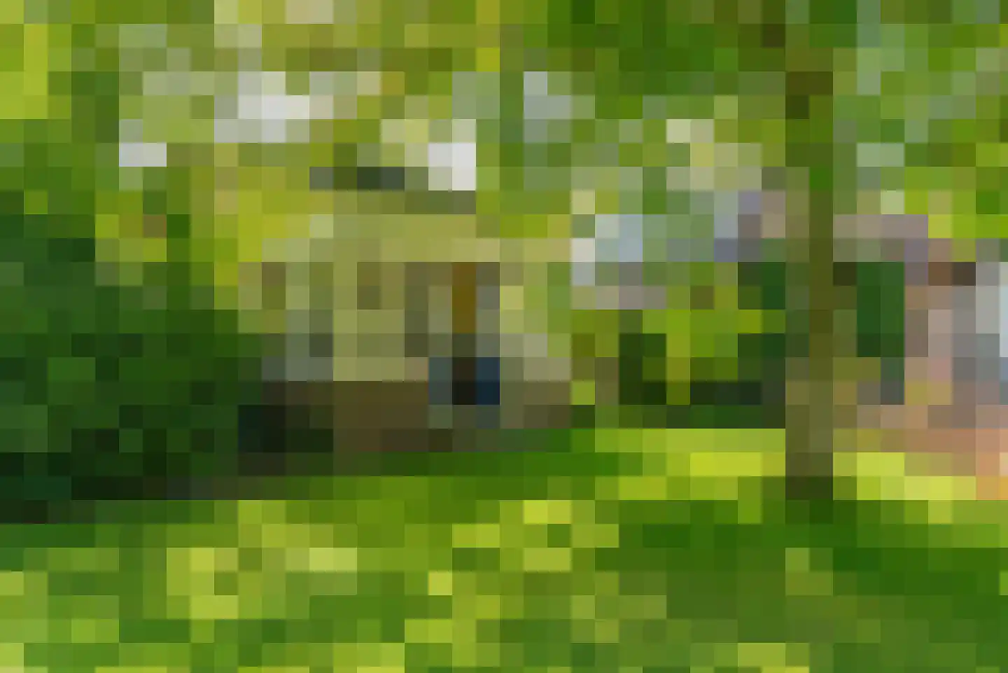 Provincialeweg 1 Kortgene thumbnail 37