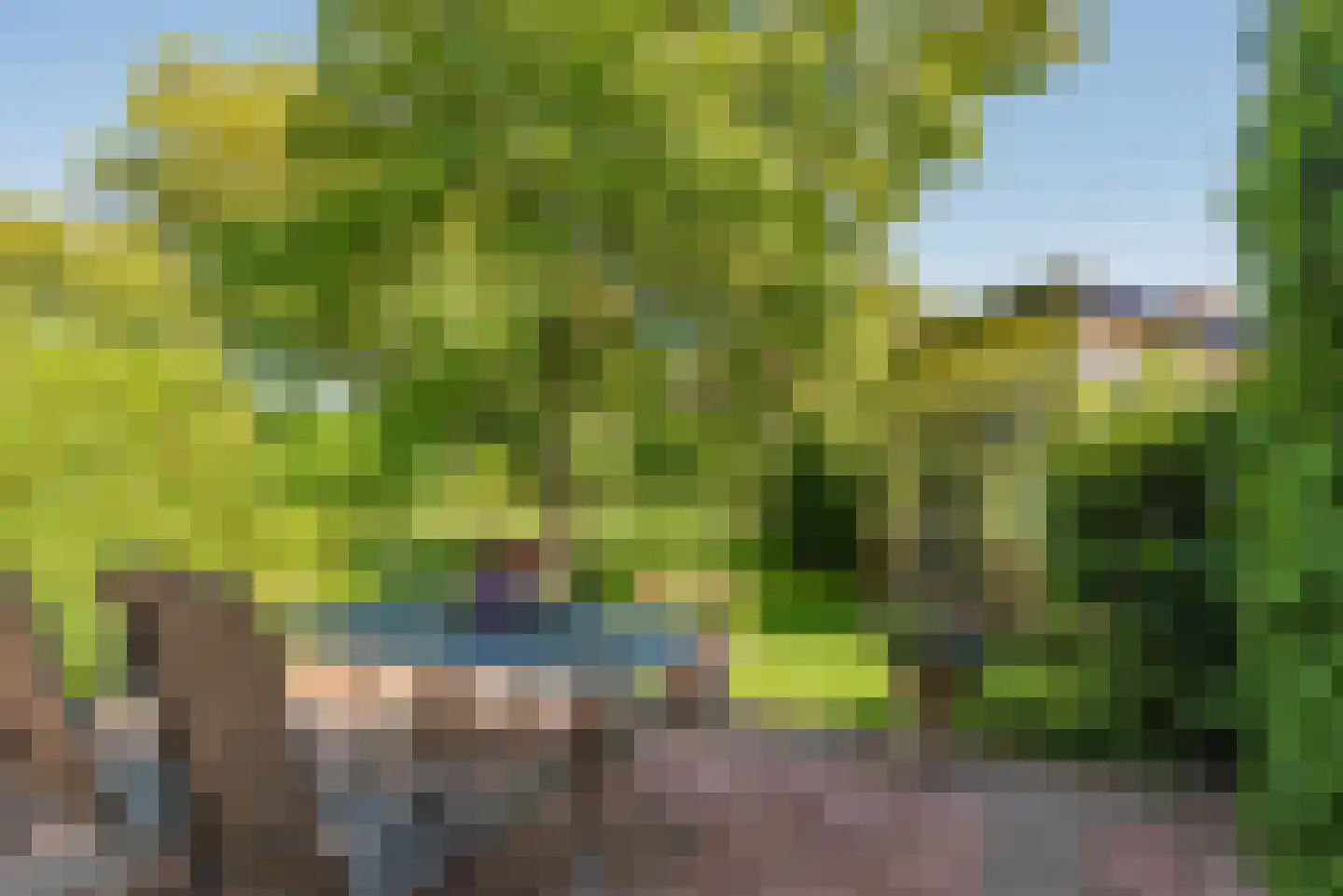 Provincialeweg 1 Kortgene thumbnail 39