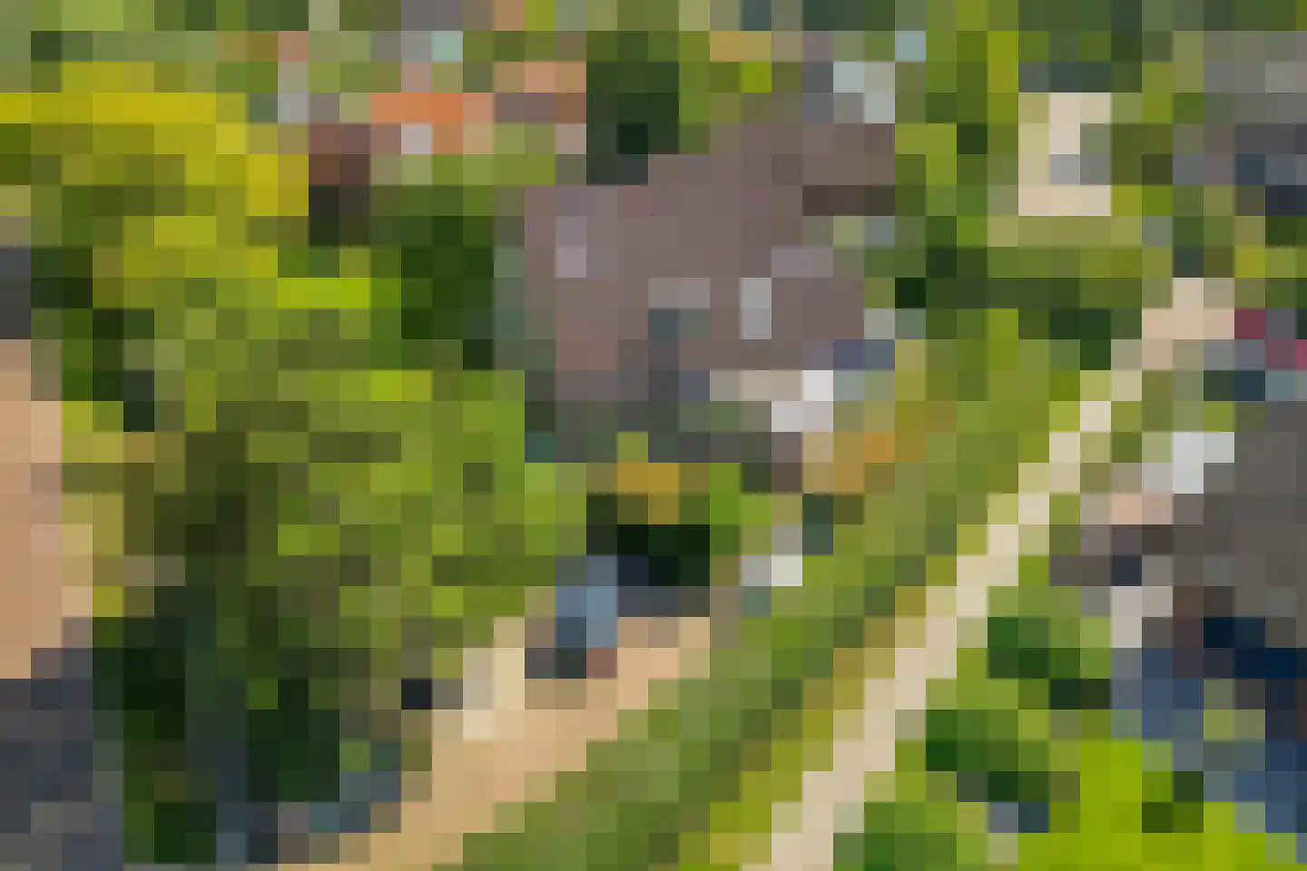 Provincialeweg 1 Kortgene thumbnail 43