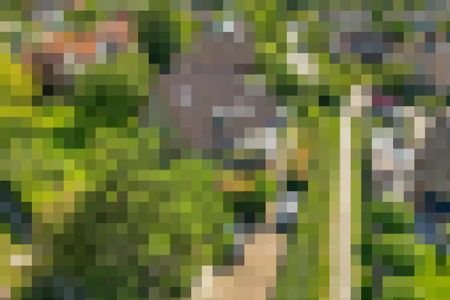 Provincialeweg 1 Kortgene thumbnail 44