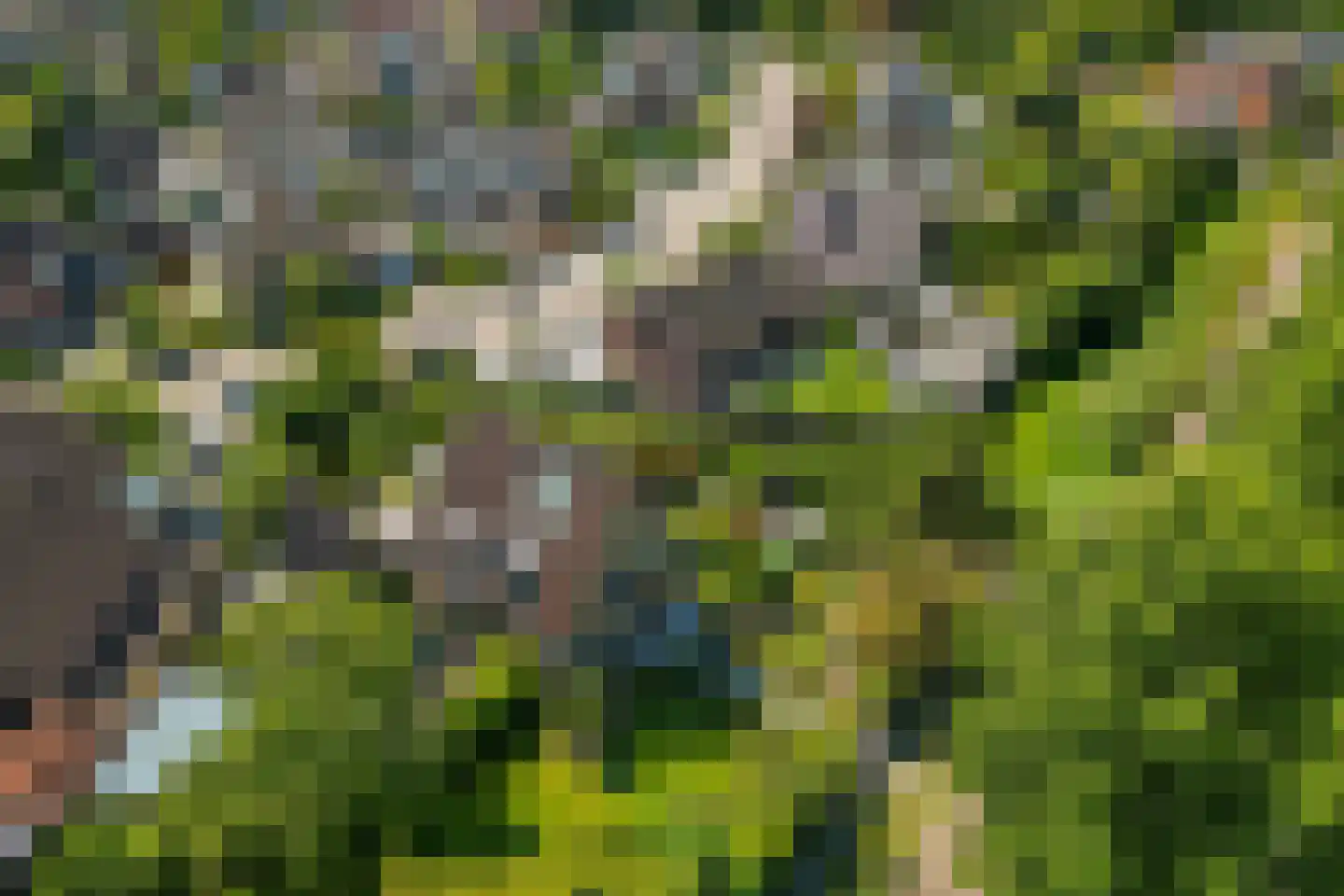 Provincialeweg 1 Kortgene thumbnail 46