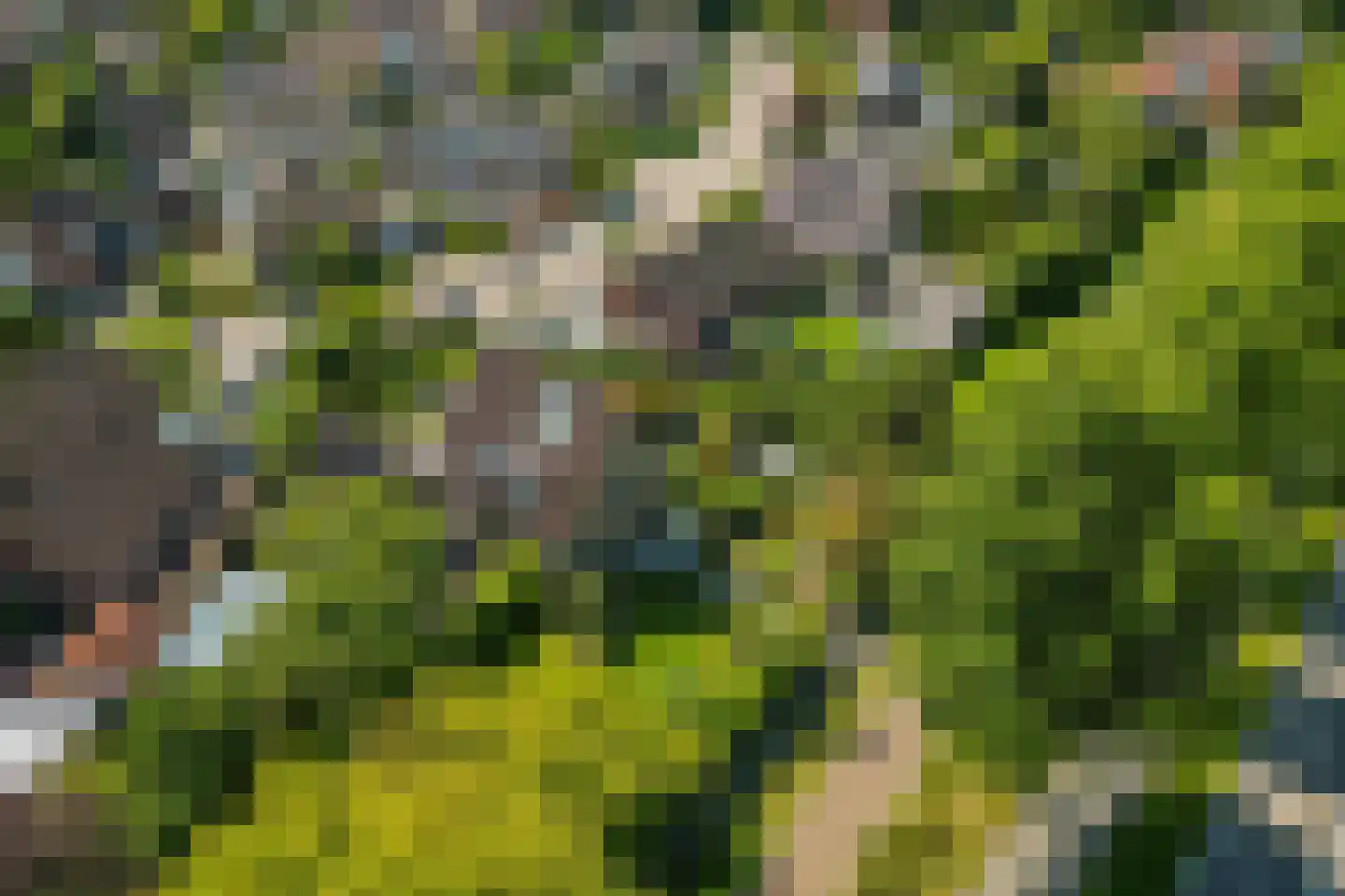 Provincialeweg 1 Kortgene thumbnail 47