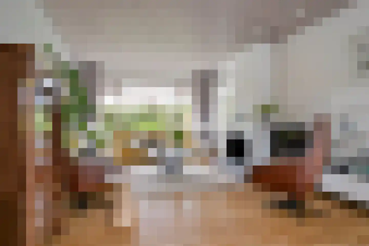 Provincialeweg 1 Kortgene thumbnail 8