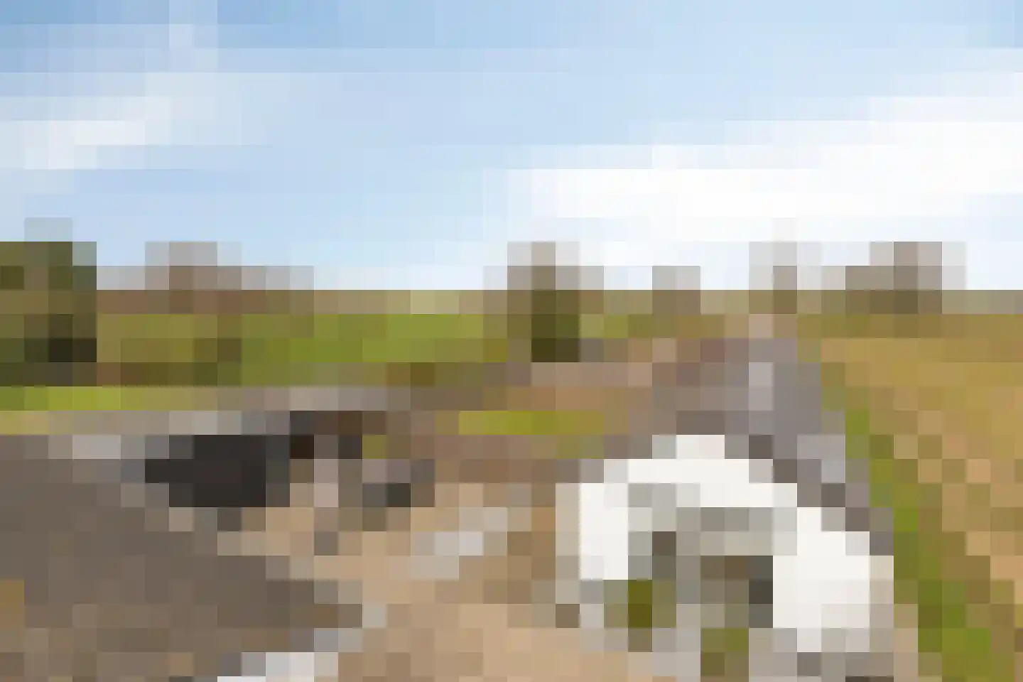Provincialeweg 10 Vortum-Mullem thumbnail 53