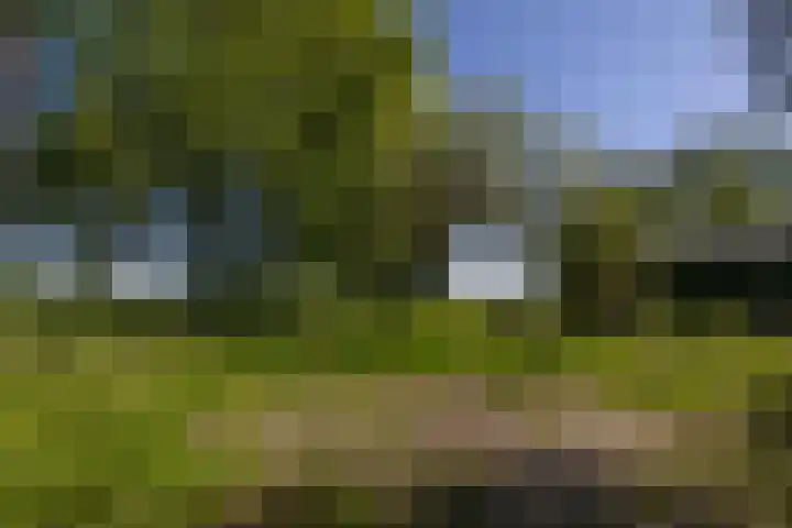 Provincialeweg 102 Kornhorn thumbnail 35