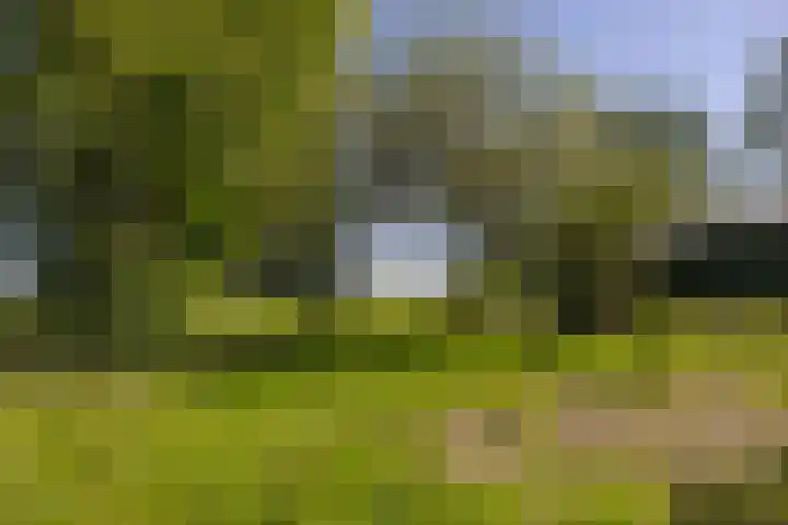 Provincialeweg 102 Kornhorn thumbnail 36