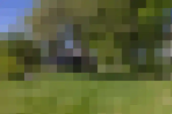 Provincialeweg 102 Kornhorn thumbnail 37