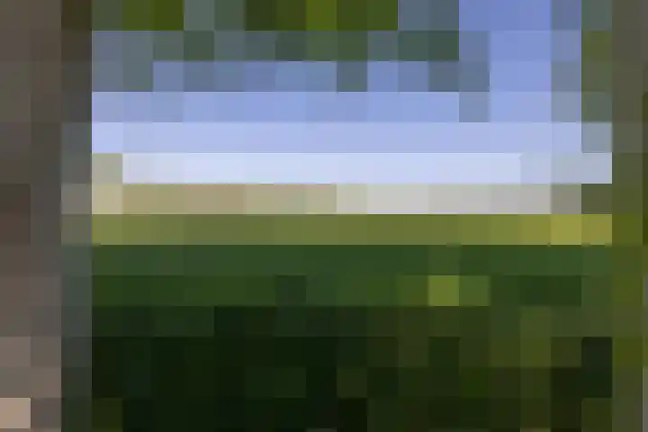 Provincialeweg 102 Kornhorn thumbnail 38