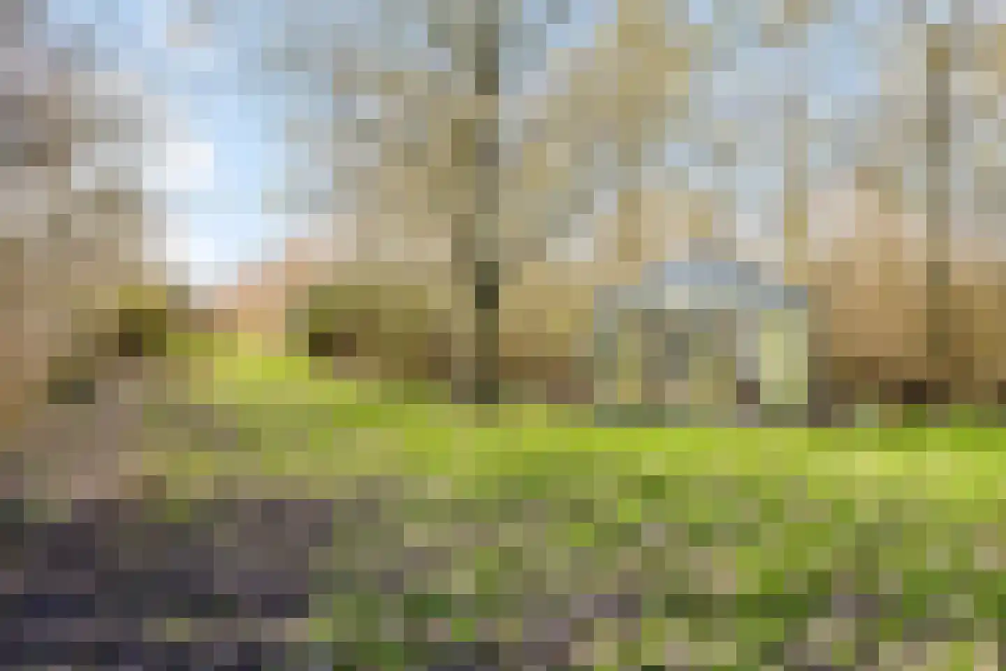Provincialeweg 11 Kerkwerve thumbnail 50