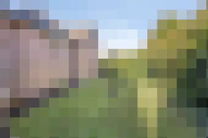 Provincialeweg 11 Kornhorn thumbnail 47