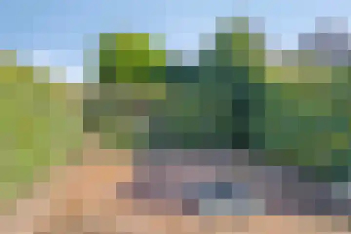 Provincialeweg 11 Kornhorn thumbnail 48